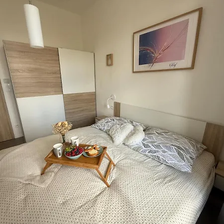Apartament One-bedroom Newly Renovated With Netflix *
