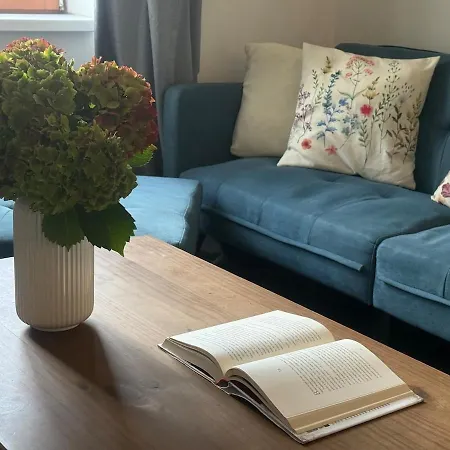 One-bedroom Newly Renovated With Netflix *