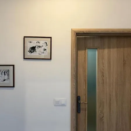 Appartamento One-bedroom Newly Renovated With Netflix