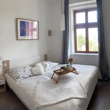 One-bedroom Newly Renovated With Netflix Praga